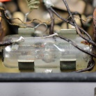 [00253] Me�bereichsumschalter Avostat12; Dr. S. Guggenheimer; 1930 (Thermoumformer)