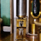 [00696] Torsionsgalvanometer von O. Fr�lich; Siemens & Halske; ca. 1885