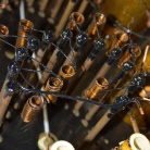 [00837] MV1 - Br�ckenverzweigung; Otto Wolff; 1963